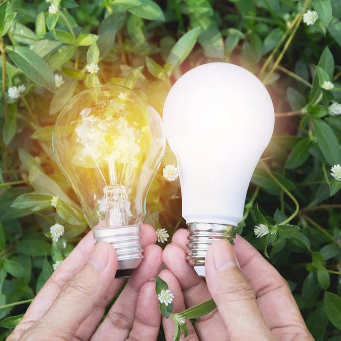 Discovering the Best Energy Saving Light Bulbs